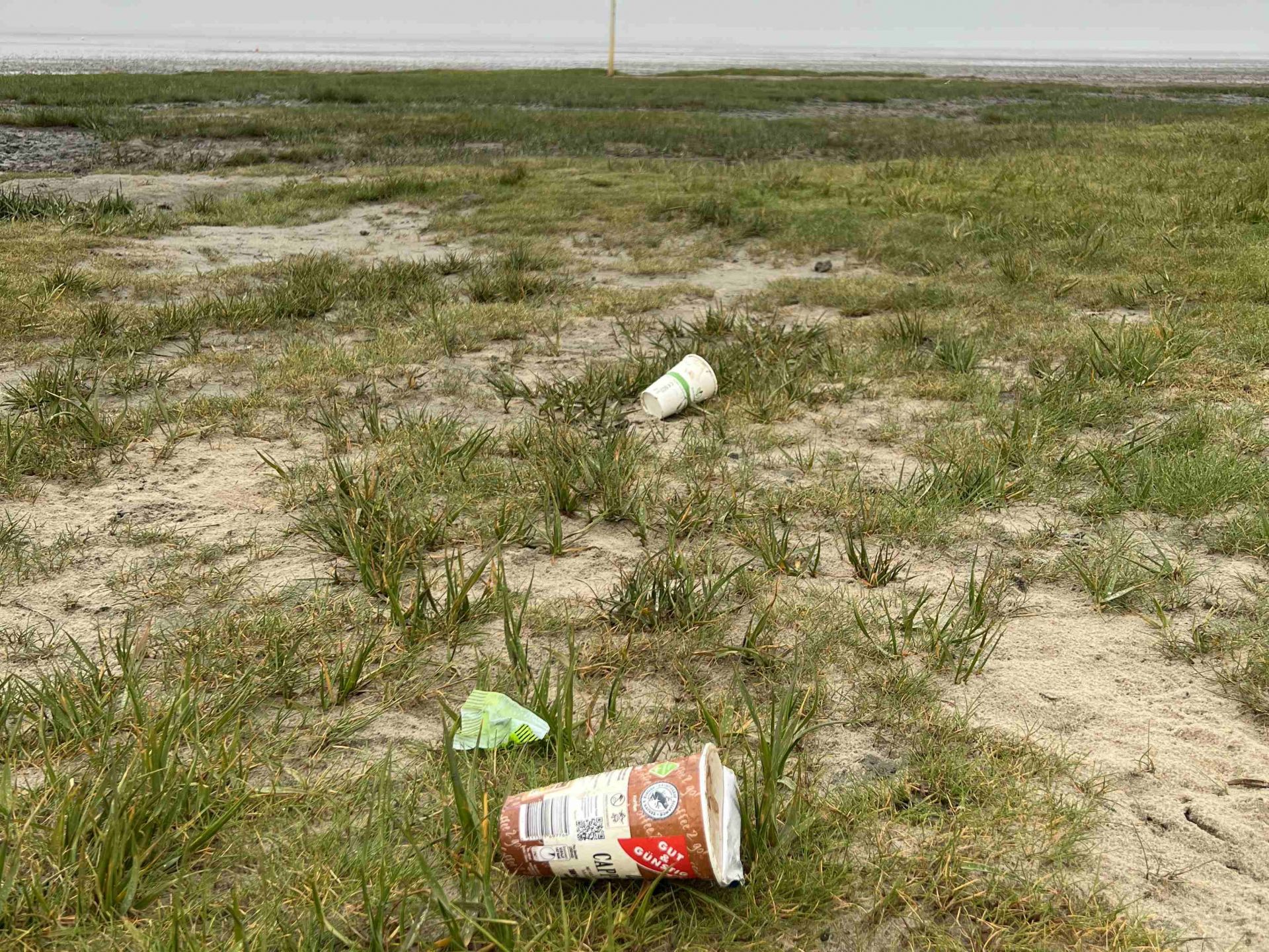 Müll im Wattenmeer